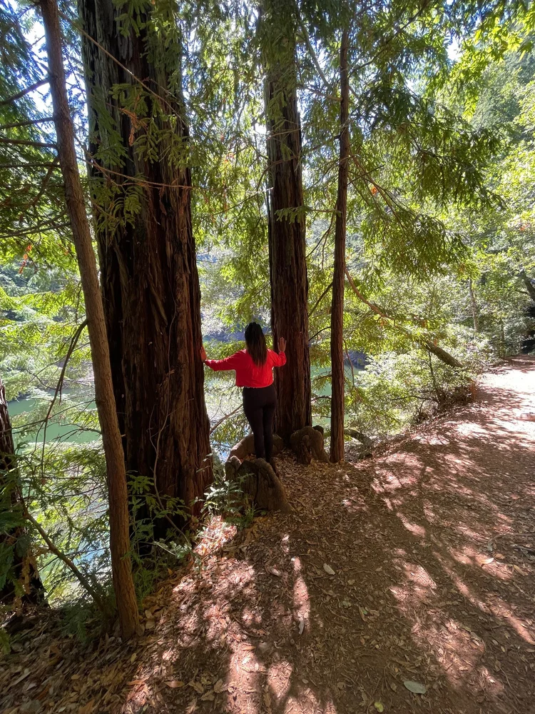 Coaching In Nature, Heal with Rachana