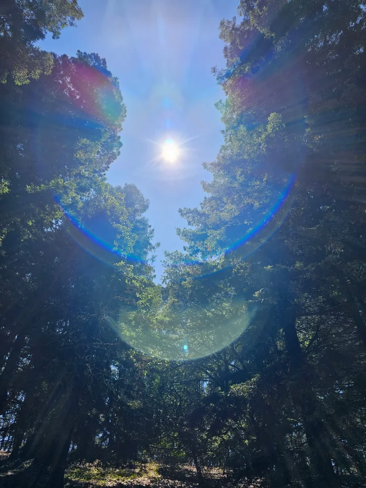 Energetic Clearing, Heal with Rachana
